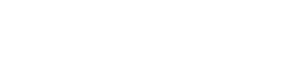 JAPAN SYSTEM