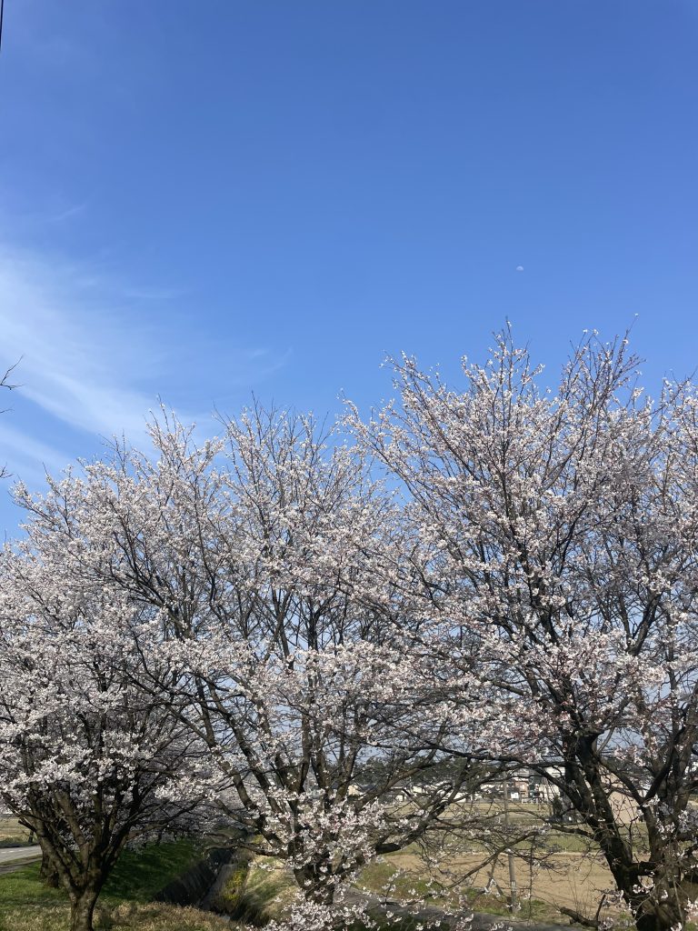 富山　消雪　ジャパンシステム