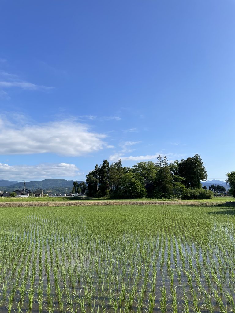 富山　下水道施設　ジャパンシステム